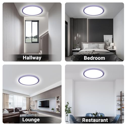Runde LED-Deckenleuchte mit lila Rand, Deckenmontage in Flur, Schlafzimmer und Lounge