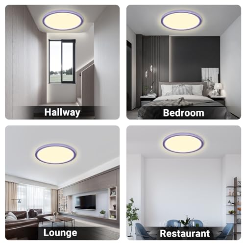 LED-Deckenleuchte mit violettem Ring, warmweißes Licht für Flur, Schlafzimmer, Lounge
