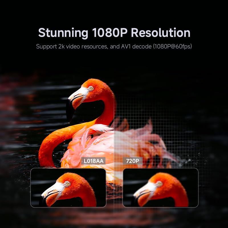 Nahaufnahme in 1080p-Optik: orangefarbener Vogel mit Schärfe-Detailanzeige